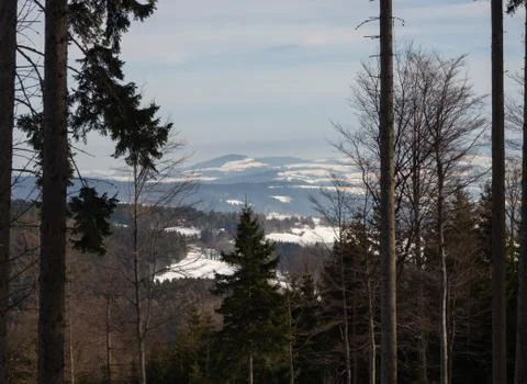 View from the forest on a mountain range Stock Photos
