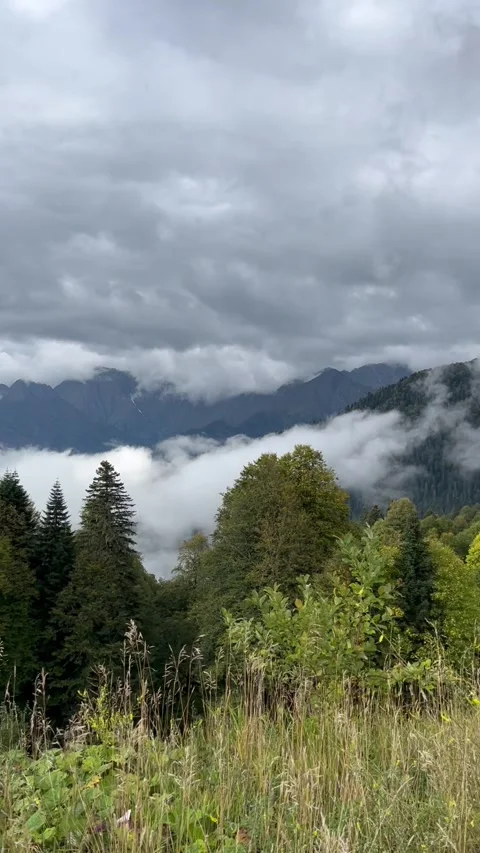 View of forest, mountains and clouds Stock Footage 296797944
