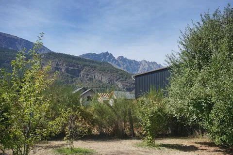 View of the forest with mountains in the background Stock Photos