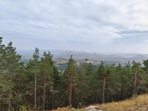 View of forest with mountains in background Foto stock