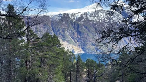 View from the forest in the mountains to the fjord Stock Footage 309140992