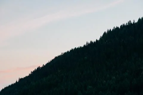 View of the forest in the mountains Stock Photos