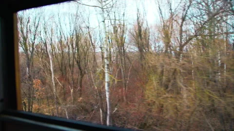 View of the Forest From a Moving Train Window Stock Footage 61467473