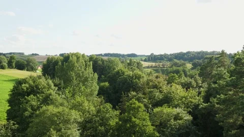 View of forest from the observation tower in Podlasie near Stanczyki Stock-Footage 197463789