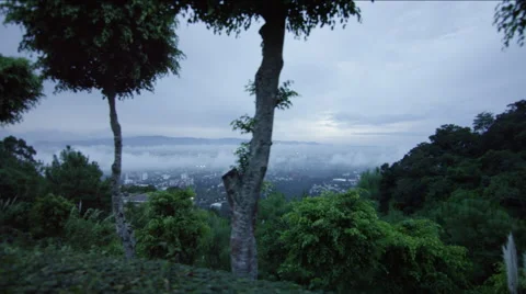 View of forest overlooking a city, Guatemala Stock Footage 63060137
