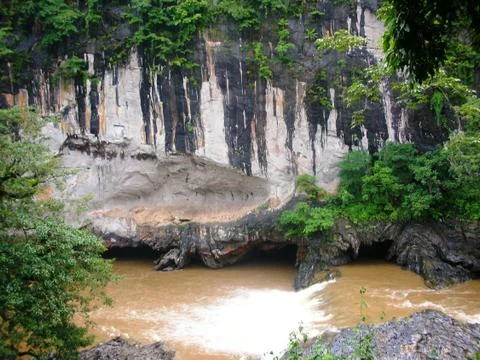A view in the forest Stock Photos