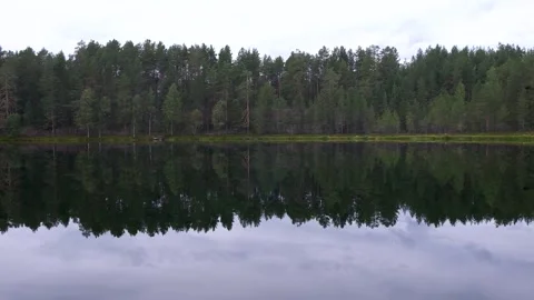 View of the forest reflected in the lake in Kariliya Stock Footage 170278102
