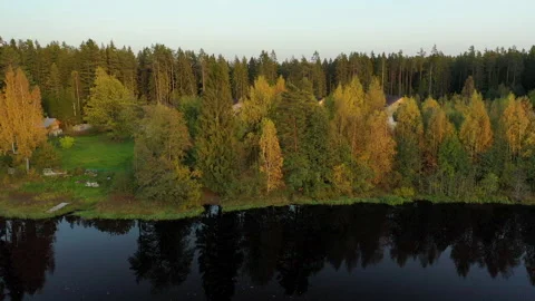 View of the forest from the river, flying along the coast Stock Footage 146760251
