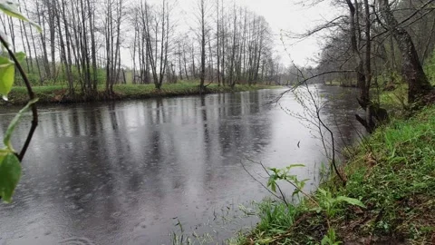 View of the forest river from the shore during the rain. Stock Footage 154178899