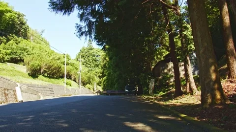 A view of a forest road deep in the mountains of Japan on June 22, 2020 Video stock 134229069