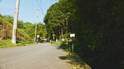 A view of a forest road deep in the mountains of Japan on June 22, 2020 Video stock 134232819