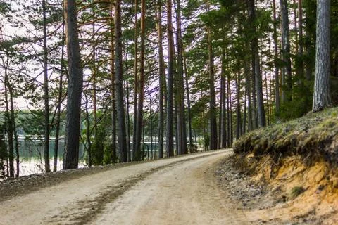 View of the Forest Road, heading deaper in the Woods - Moody Photo with Copy Stock-Fotos