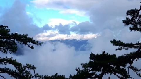 View of the forest shrouded in clouds Stock Footage 84740021