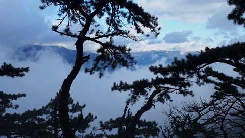 View of the forest shrouded in clouds Stock Footage 84740208