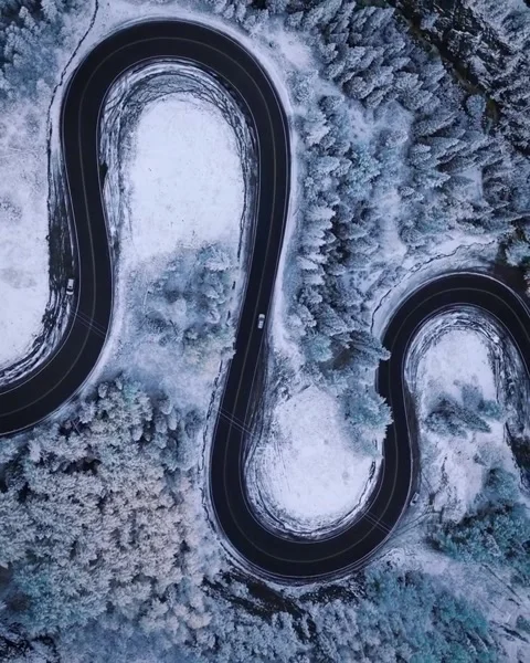 View of  forest with snow and trees Stock Footage 269319968
