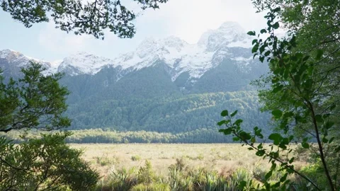View from forest on snow-capped mountains lush green vegetation in New Zealand Stock Footage 289416833