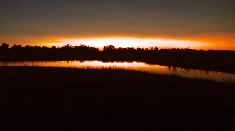 View of forest at sunset Stock Footage 55335299