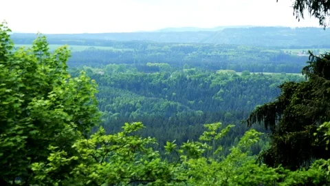 A view at a forest, tree crowns in the foreground Video stock 72540793