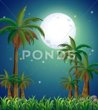 A view of the forest under the bright fullmoon Stock Illustration