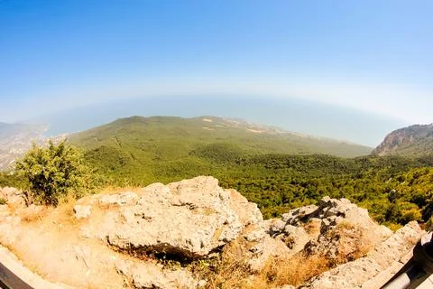View of the forest under the mountain. Stock Photos