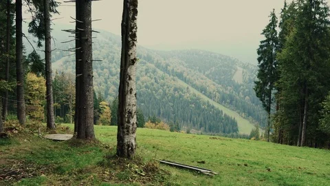 A view of the forested slopes of the mountains landscape Stock-Footage 110810274