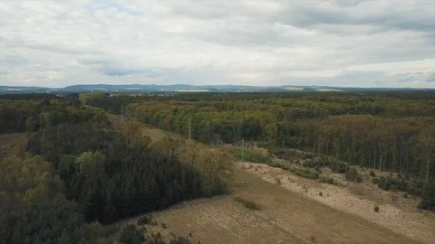 View of the forests and fields on which the power line 動画素材 129450992