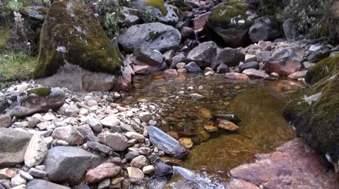 View of the forests of Uganda and waterfall Stock Footage 44333152