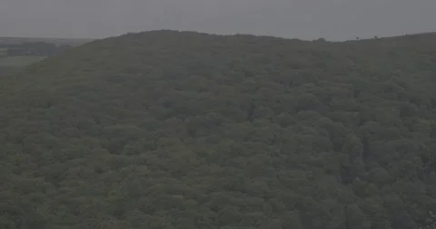 A view of forest/trees high up view, 4k, VLOG, 24fps Stock Footage 277226879