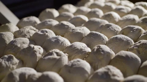 View of formed raw dough for baking donuts on a tray at factory Vídeo Stock 147255723