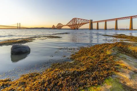 View of the Forth Road Bridge, Queensferry Crossing and Forth Rail Bridge, Stock Photos