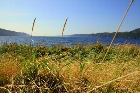 View of Fortune Bay, Newfoundland Stock Photos