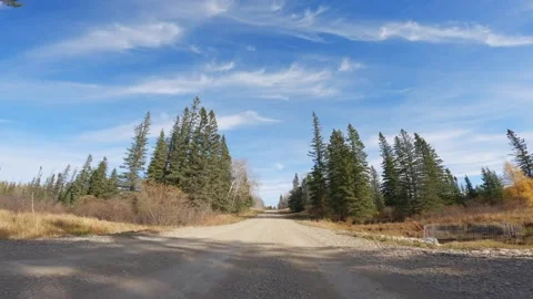 View forward while driving a gravel road through fall colored forest  Stock Footage 288262782