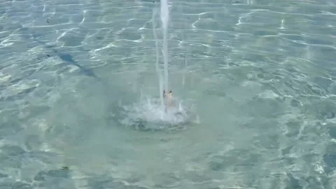 View of the fountain Stock Footage 234846112
