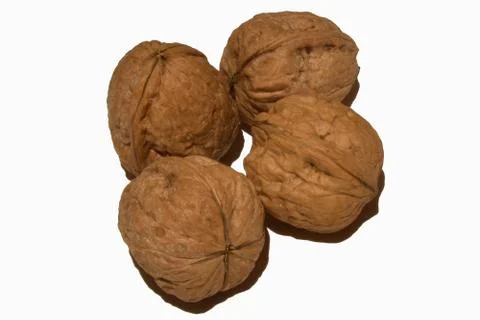View of four walnuts on white background  스톡 사진