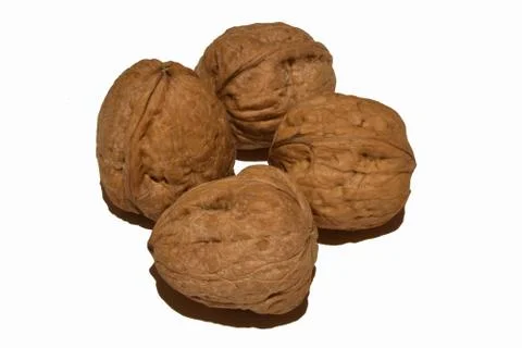View of four walnuts on white background 스톡 사진