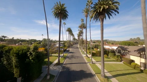 View from fpv drone flying above scenic road with palms in Los Angeles in sunny Stock Footage 271591769