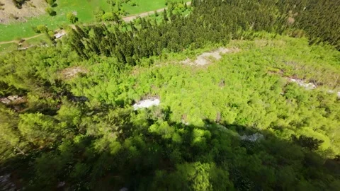View from FPV drone.. FPV dive over lush green forest and rocky cliffside Stock Footage 340957515