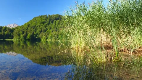 View from Freibergersee in Oberstdorf - Oberallgu - Bavaria - Germany to the Stock Footage 279934585