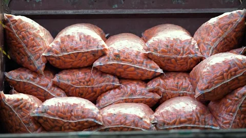 View of fresh carrots in plastic bags in Bogura, Bangladesh. Stock Footage 336413737