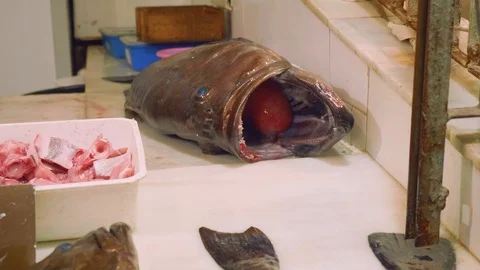 View of fresh fish in fish store in market of Ceuta Stock Footage 86711462