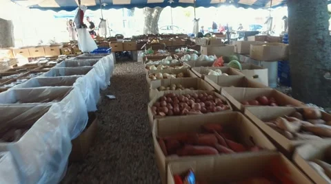 View of a fresh market  Stock Footage 67292054