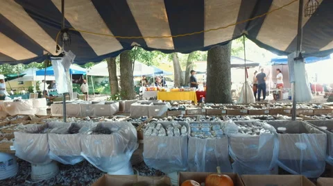View of a fresh market Stock Footage 67292251