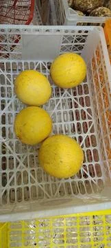 View of fresh orange fruit Stock Photos