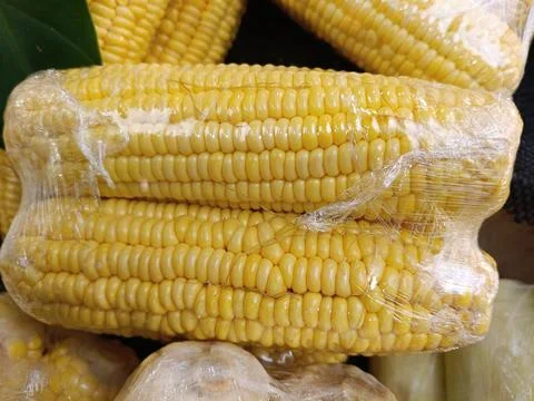 View of fresh peeled corn Stock Photos