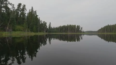 View from the front of a boat drifting in a calm northern river surrounded by a Stock Footage 306094001