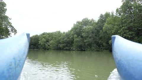 View from the front of the boat as it passes through the mangrove forest Stock Footage 255869193