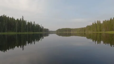View from the front of a canoe as it moves slowly through calm water on a Stock Footage 306093974