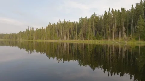 View from the front of a canoe as it turns in a calm northern river treeline of Stock Footage 306094023