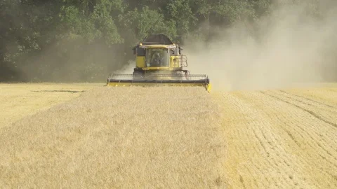 A view of a front of a combine harvester as it drives from the back of a grain Stock-Footage 124641860