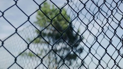 View in front of fence on blurry tree in garden during day time, Portugal Stock Footage 128967200